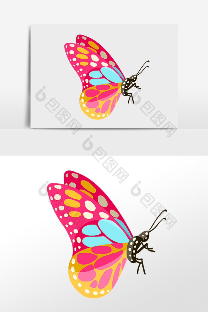 昆虫彩色蝴蝶插画图片图片
