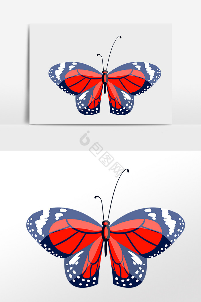 漂亮昆虫蝴蝶插画图片