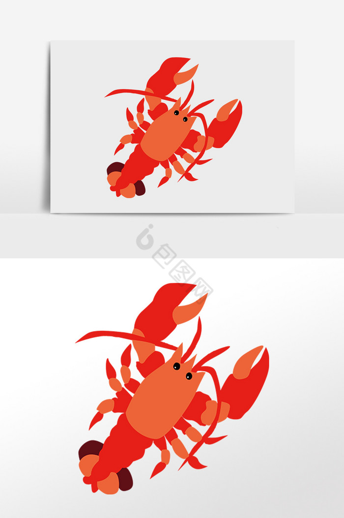 水产海鲜龙虾大虾插画图片