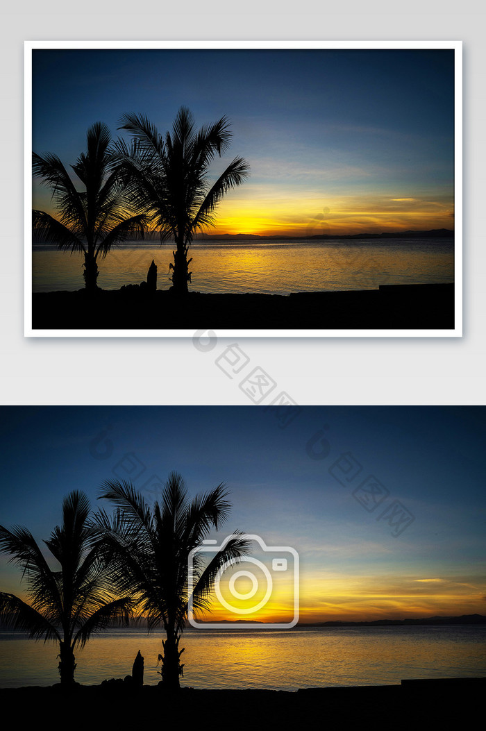 金色黄昏落日的海边椰树剪影摄影图