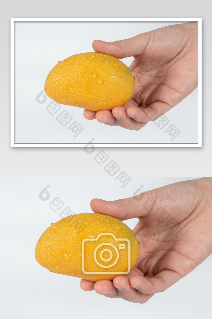 一颗芒果小台芒摄影图片图片