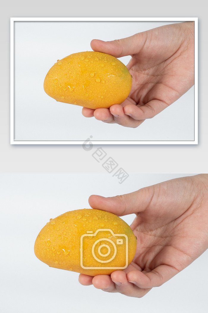 一颗芒果小台芒摄影图片