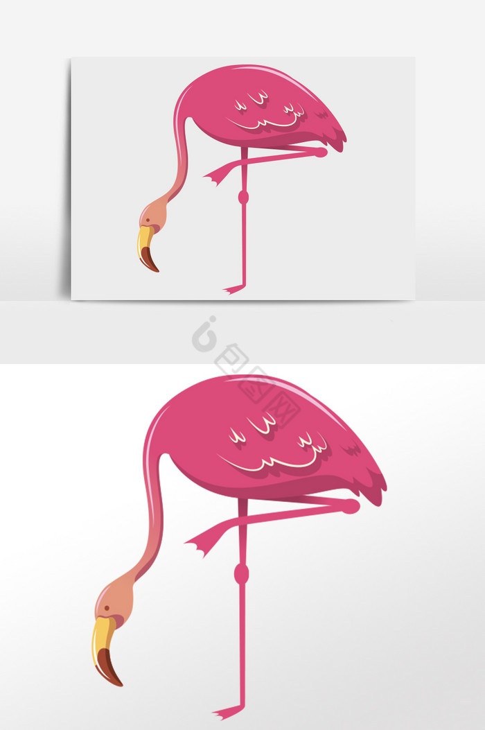 野生动物火烈鸟插画图片