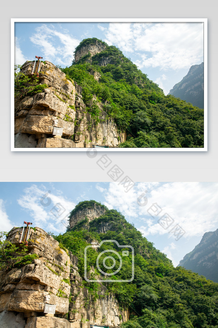 植物园热带花卉园野象谷图片