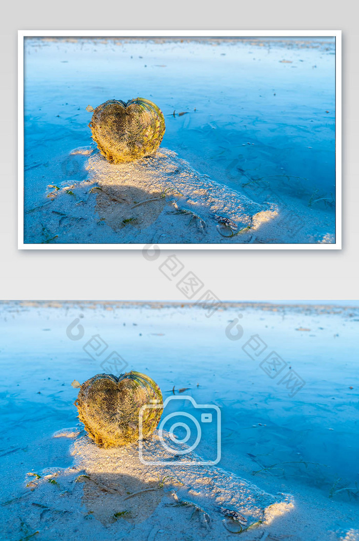 心形砗磲贝壳阳光蓝色海水摄影图图片图片