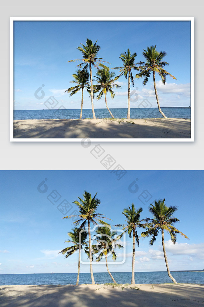 蓝天白云椰树旅行背景摄影图