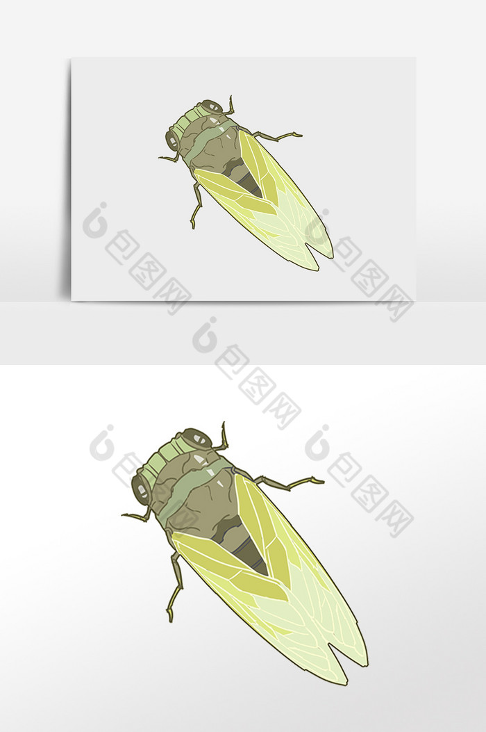 夏季动物蝉昆虫甲虫插画图片图片