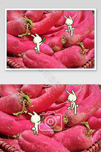 红色活泼萝卜手绘兔子创意摄影插画图片