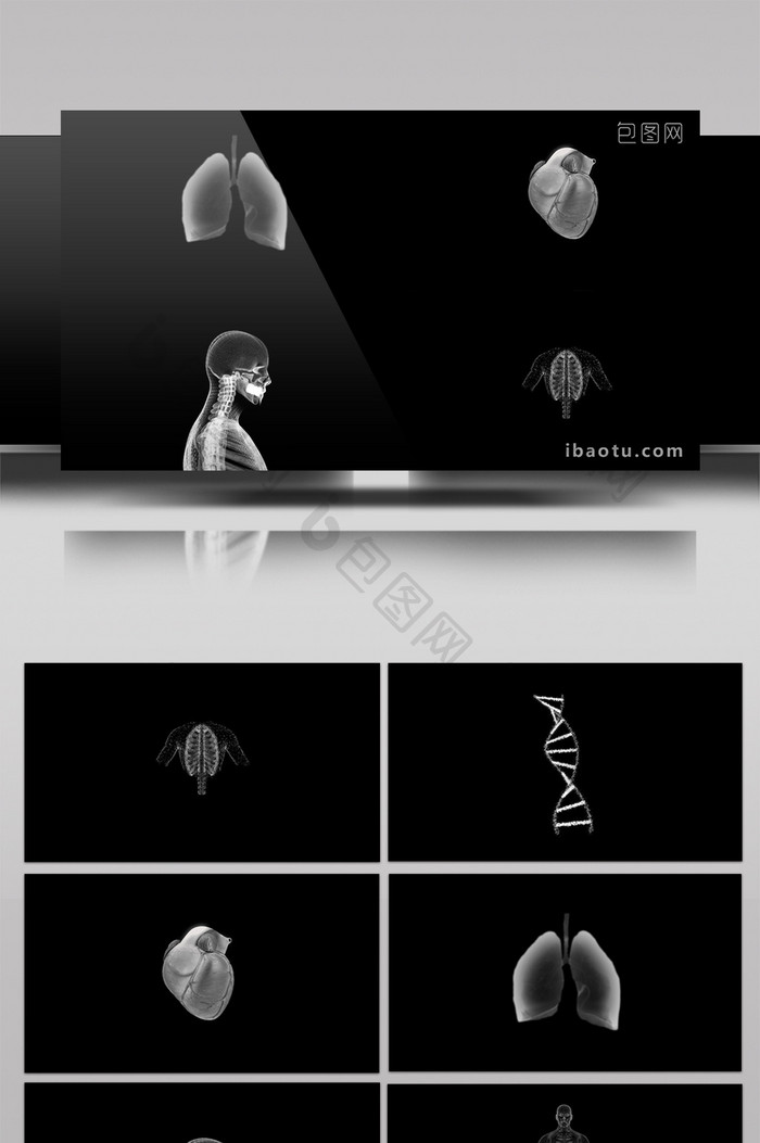 6组人体结构信息白色动态带通道元素