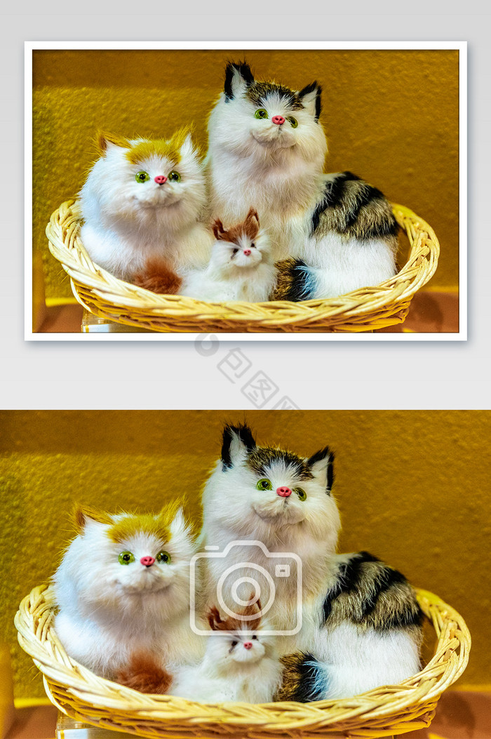 多种颜色3只毛绒猫咪摄影图片