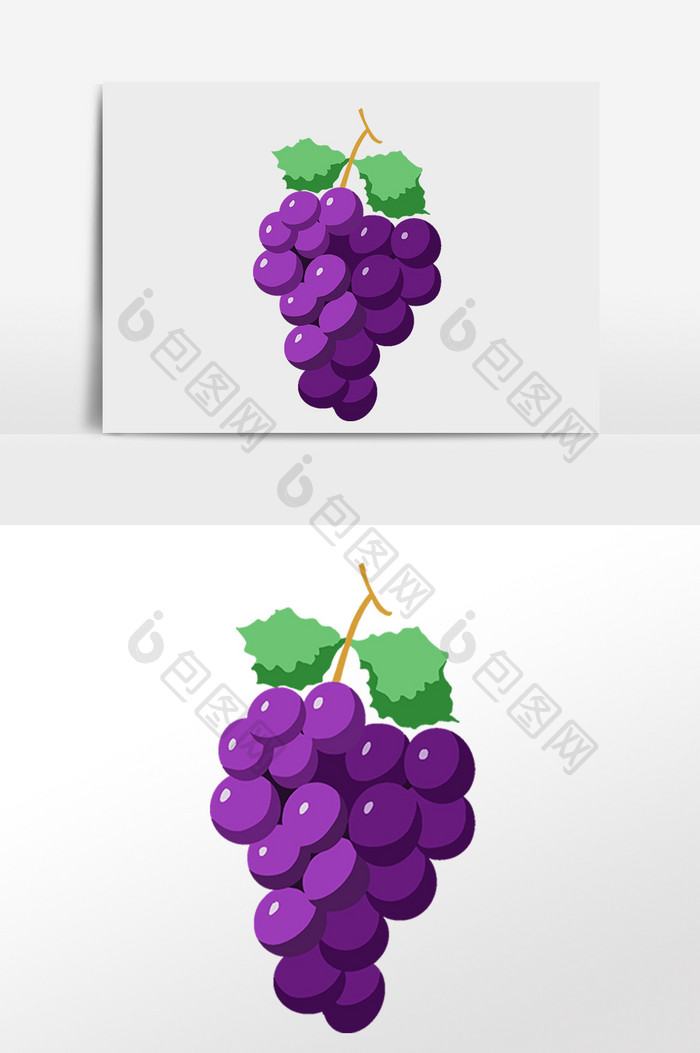 手绘夏季新鲜水果紫色葡萄插画