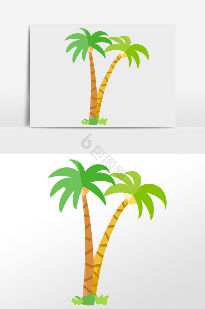 海滩热带植物椰子树插画图片