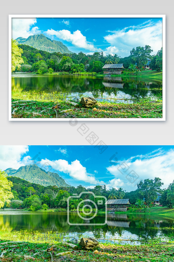 绿色马来西亚风光田园风光摄影图片图片