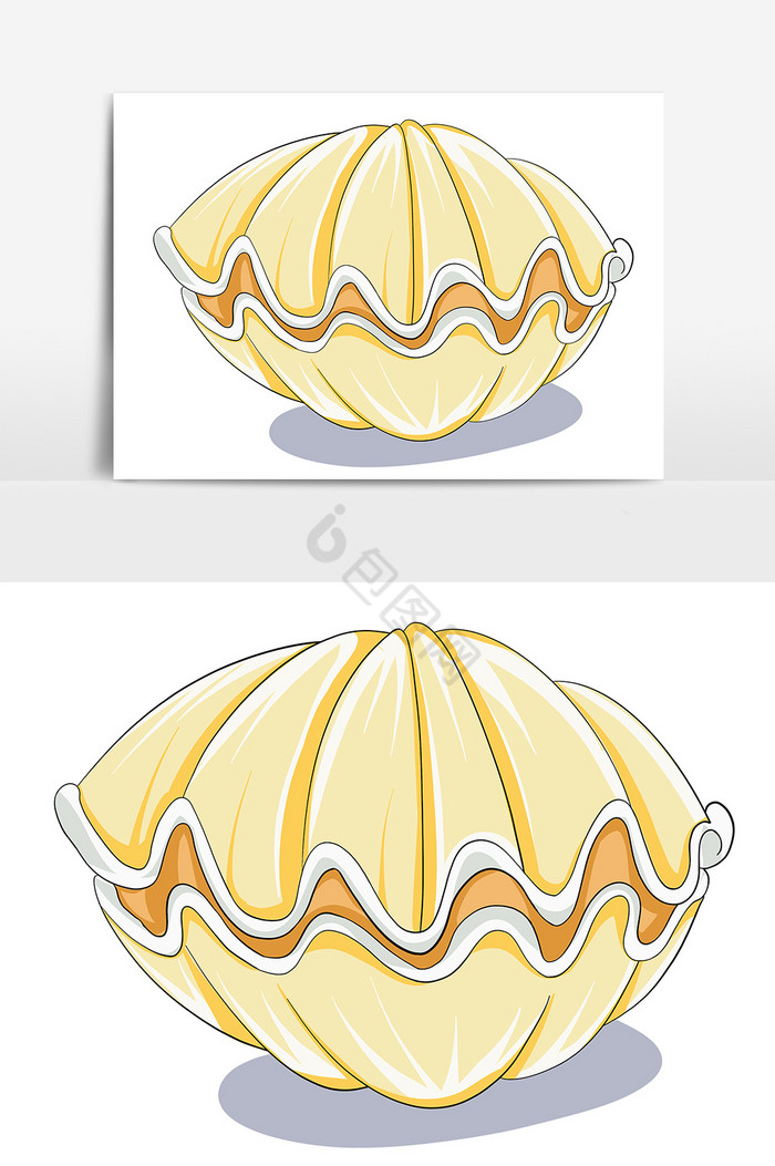 海洋贝壳形象图片
