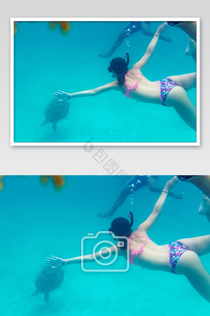 美女潜水海龟合影摄影图图片