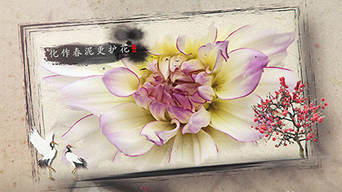 中国风优雅花瓣水墨图文AE模板