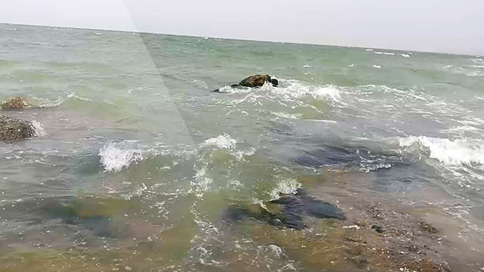 实拍海浪冲击海岸