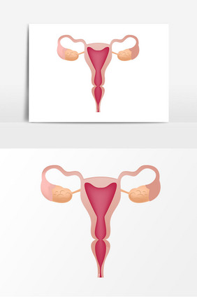 手绘子宫器官元素设计