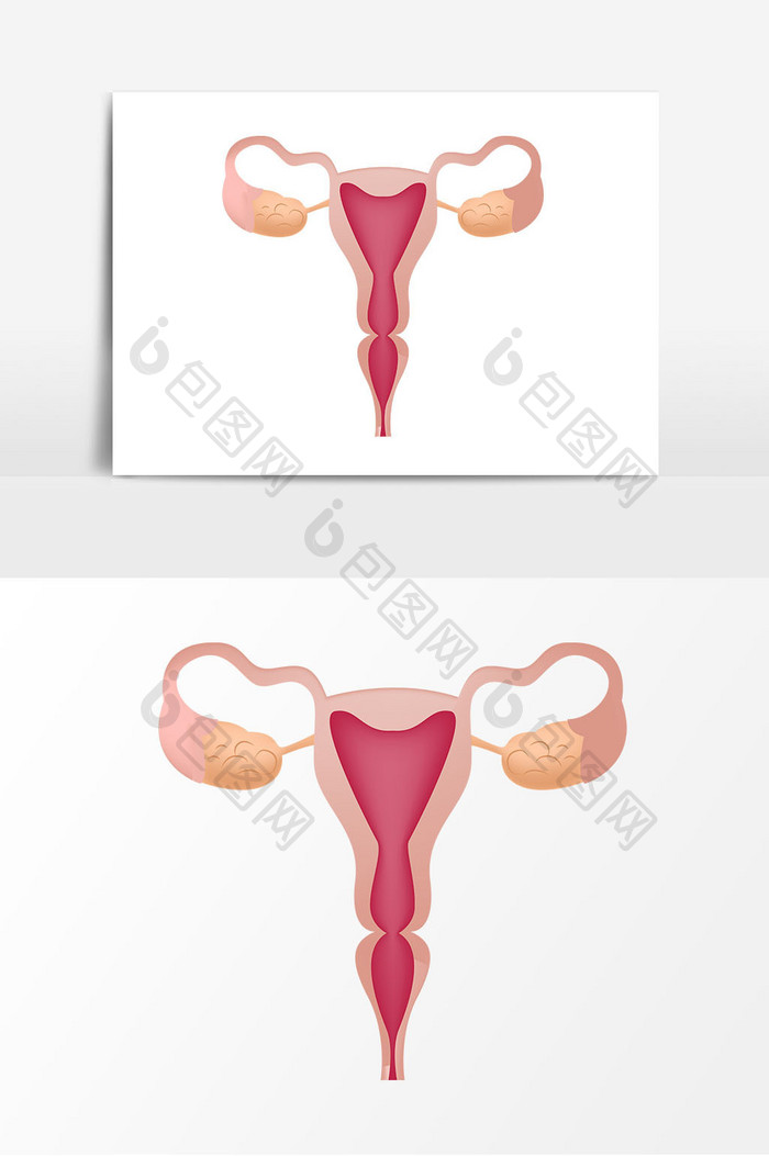 手绘子宫器官元素设计