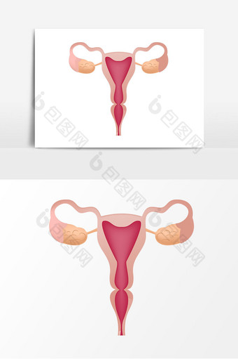 手绘子宫器官元素设计图片