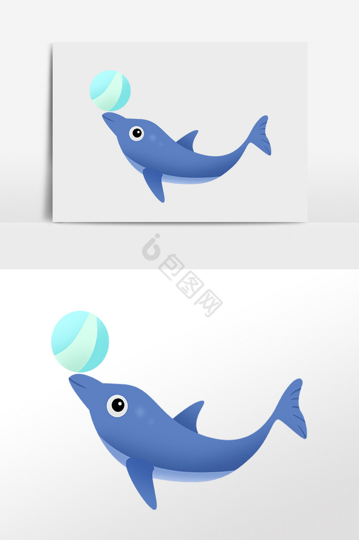 海洋生物玩球海豚插画图片