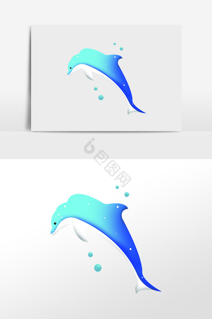 海洋生物海豚插画图片