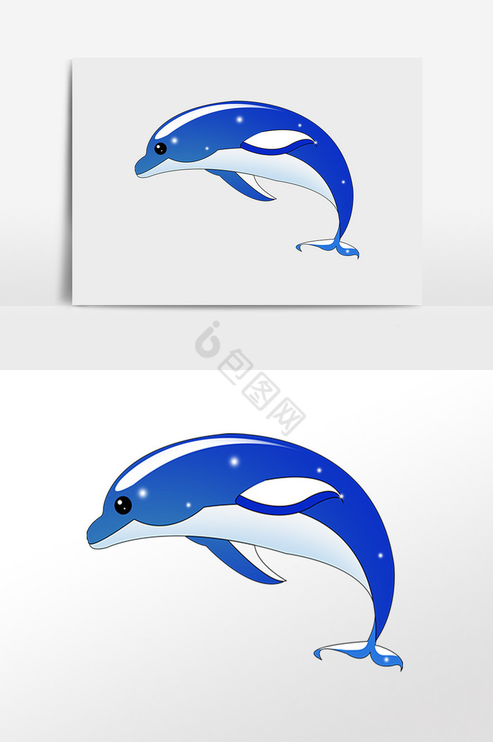 海洋生物动物海豚插画图片