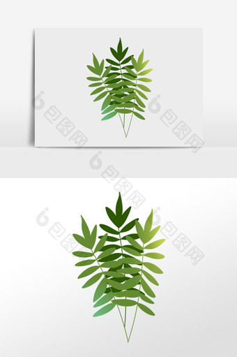手绘热带植物绿植小叶子叶片插画图片