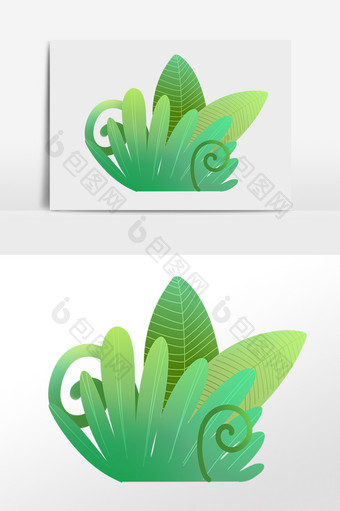 手绘热带植物绿植绿色花草插画图片