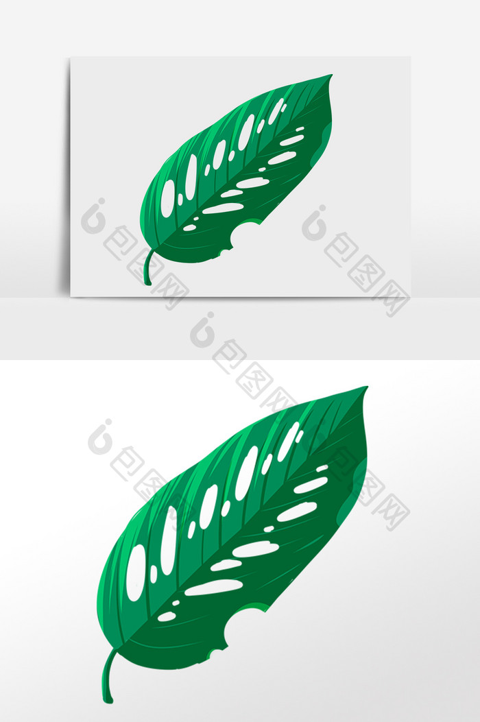 手绘热带植物绿植大片叶片插画