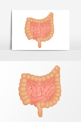手绘小肠器官矢量元素