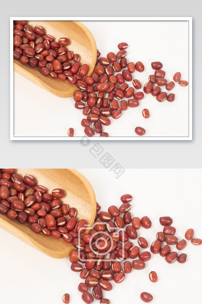 红豆摄影高清图片