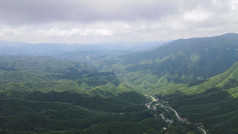 湖北神农架天燕景区原始松树林风光4A航拍摄影图