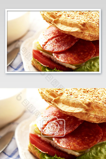高清美食法风萨拉米烧饼细节摄影图图片