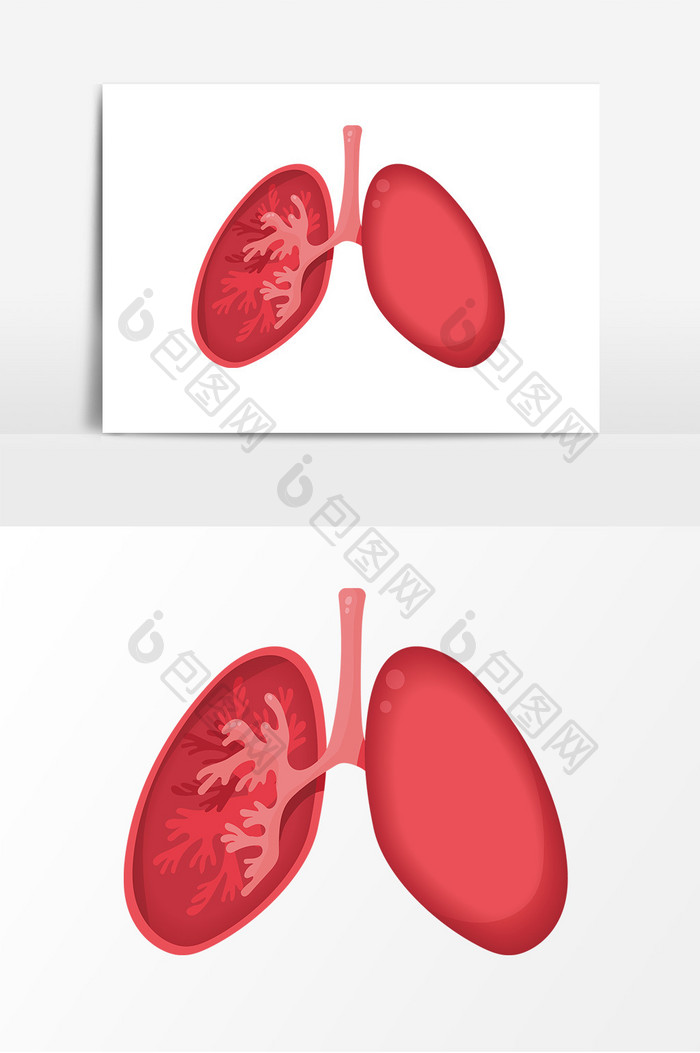 卡通器官肺部元素