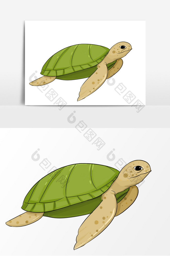 海洋乌龟形象图片图片