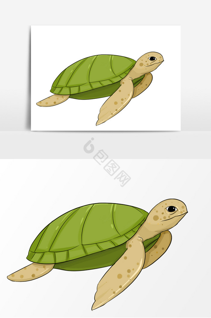 海洋乌龟形象图片