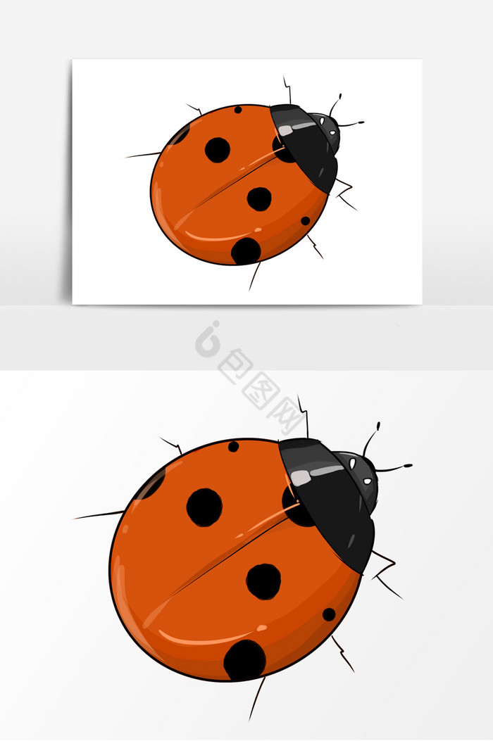 甲壳虫插画图片