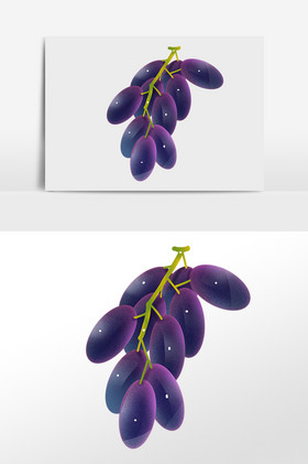 手绘夏季水果一串紫色提子插画