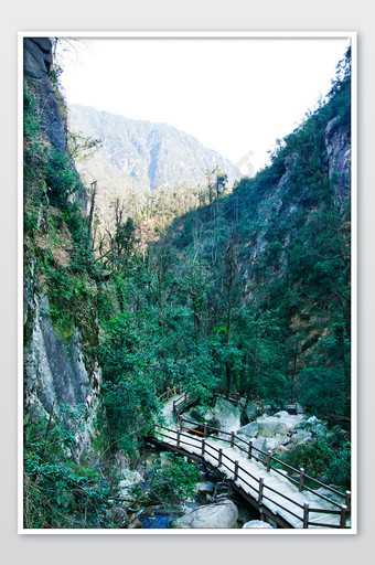 山涧游步道风光摄影图图片