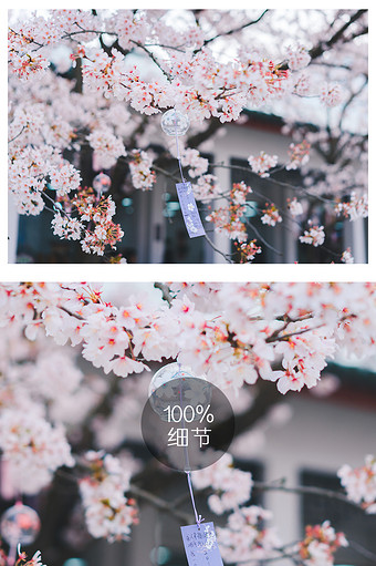 风铃图片 风铃素材 包图网