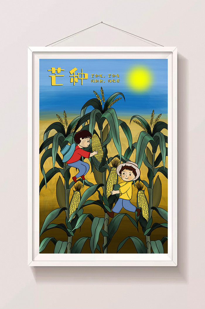 芒种农忙摘玉米插画图片