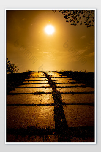 黄慧夕阳下的路摄影图片