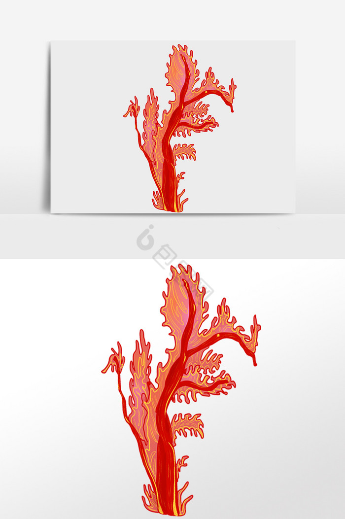 海洋水生物珊瑚插画图片
