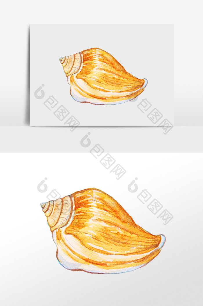 手绘海洋水生物黄色海螺插画