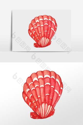 海洋水生物红色贝壳插画图片