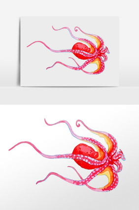 手绘海洋生物水生物红色鱿鱼插画