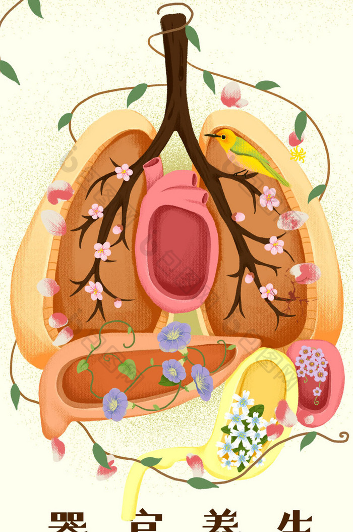 清新唯美器官养生预防疾病医疗gif插画