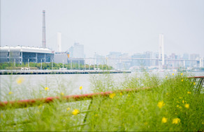 城市公园滨江风景摄影图片