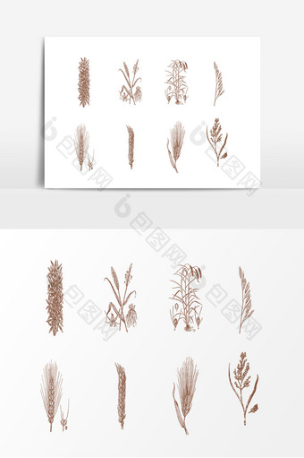 手绘粮食稻穗设计素材图片